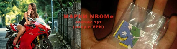 стаф Алексин