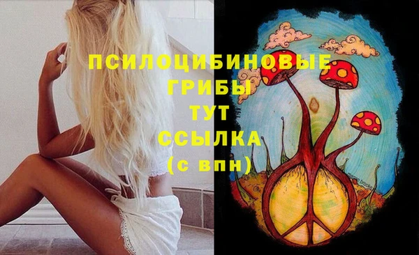 стаф Алексин