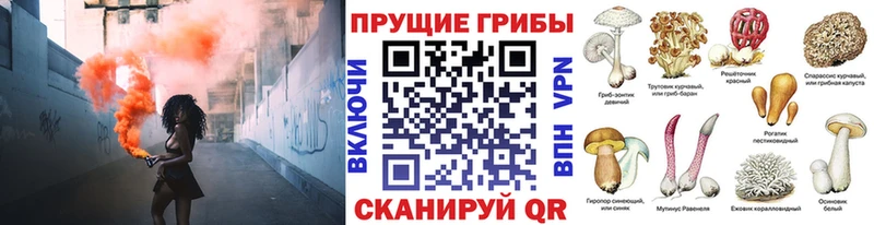hydra вход Асбест Псилоцибиновые грибы MAGIC MUSHROOMS